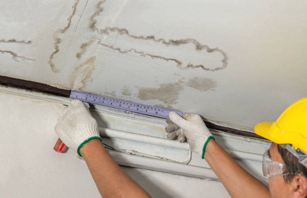 Affordable Water Damage Repair solutions in Bolt, WV